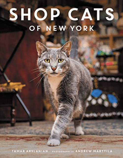 11 Coffee Table Books | InStyleRooms.com/Blog