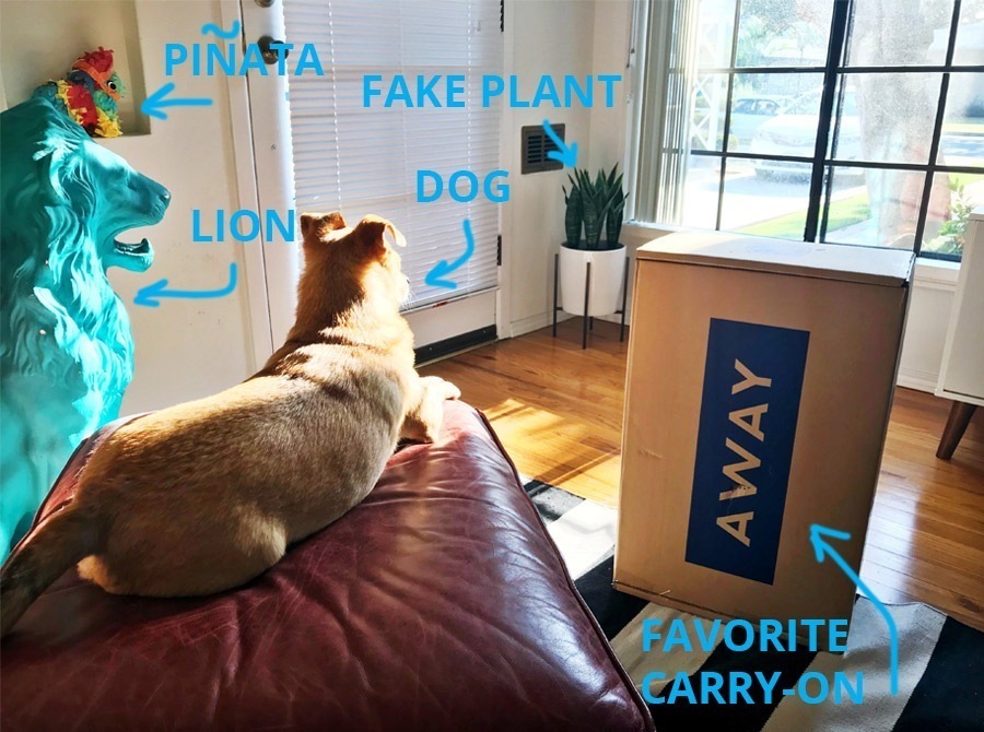 Away Bigger Carry-On Review | Cartageous.com/Blog