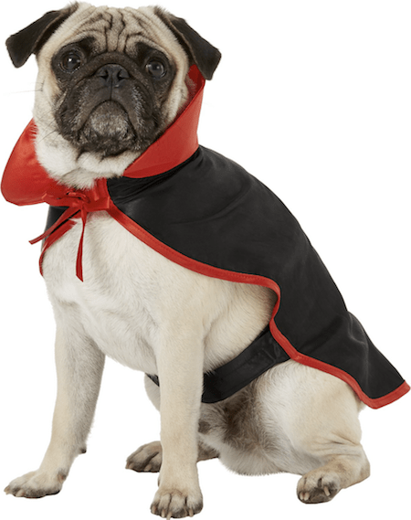 Hilarious and Cute Dog and Cat Halloween Costumes from Chewy | NurturedPaws.com/Blog
