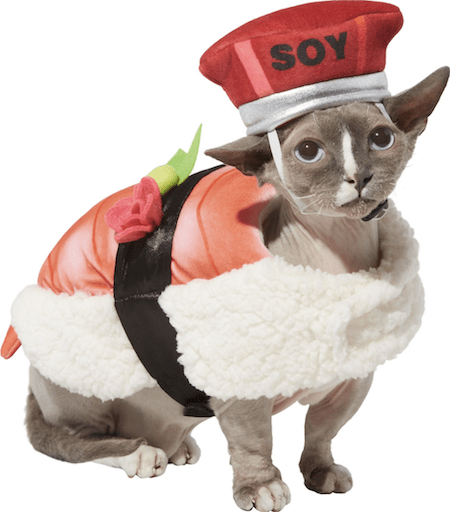Hilarious and Cute Dog and Cat Halloween Costumes from Chewy | NurturedPaws.com/Blog