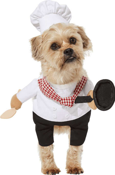 Hilarious and Cute Dog and Cat Halloween Costumes from Chewy | NurturedPaws.com/Blog
