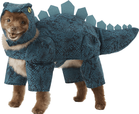 Hilarious and Cute Dog and Cat Halloween Costumes from Chewy | NurturedPaws.com/Blog