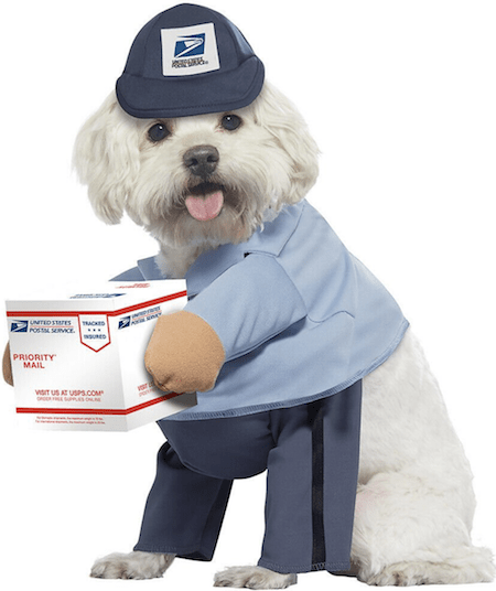 Hilarious and Cute Dog and Cat Halloween Costumes from Chewy | NurturedPaws.com/Blog