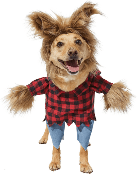 Hilarious and Cute Dog and Cat Halloween Costumes from Chewy | NurturedPaws.com/Blog