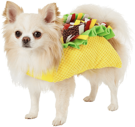 Hilarious and Cute Dog and Cat Halloween Costumes from Chewy | NurturedPaws.com/Blog