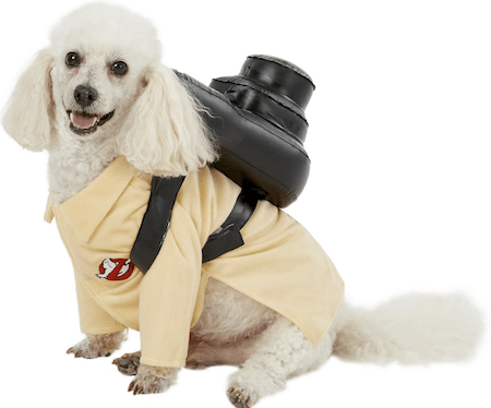 Hilarious and Cute Dog and Cat Halloween Costumes from Chewy | NurturedPaws.com/Blog
