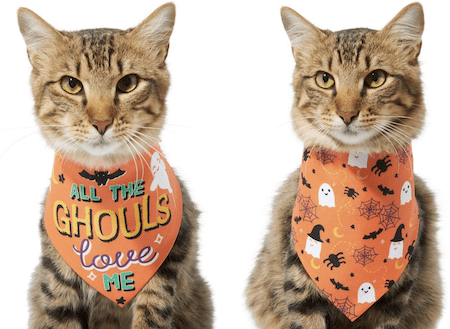 Hilarious and Cute Dog and Cat Halloween Costumes from Chewy | NurturedPaws.com/Blog