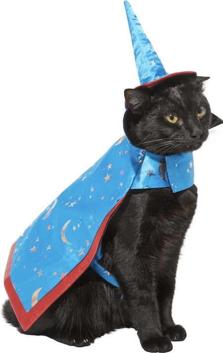 Hilarious and Cute Dog and Cat Halloween Costumes from Chewy | NurturedPaws.com/Blog